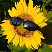 linda.owens.581 avatar