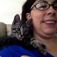 amy-broderick avatar