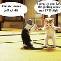 Monstermansmom avatar