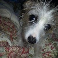 cathy-n-vincevic avatar