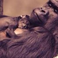 pedro.pacheco.3363 avatar