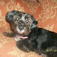 vikki.grimshaw.5 avatar