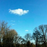 josephfarrell avatar