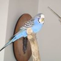 marika.veronika avatar