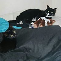 nicky.starr.5 avatar