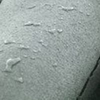 rositsa-dineva avatar