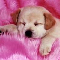 54496689a1b7a avatar