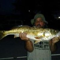 rick.simmons.5015 avatar