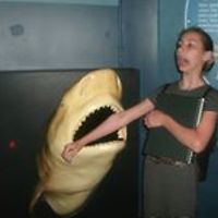 tracey-musselman-73 avatar