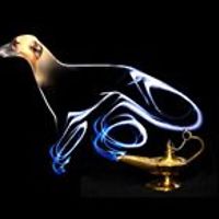 femia.waijers avatar