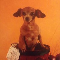 karenrjenkins avatar