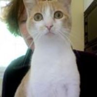 cheryl-meechan-3 avatar