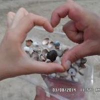 leyla.jabieva avatar