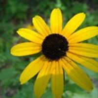 marcella.hazelwood.3 avatar