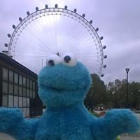 sam.wilkins.313 avatar