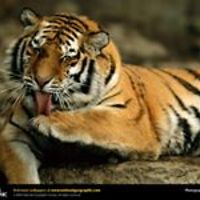 544c0db5f2963 avatar