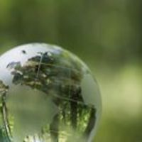 commentary.fortytwo avatar