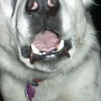 sherry.duval.35 avatar