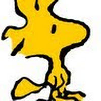 lauracentofante avatar