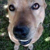 beth.jordan.75 avatar