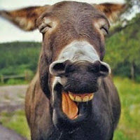 valuedcustomer avatar