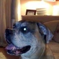 karen.platt.58 avatar