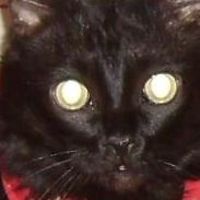 rosemarie.mitchell3 avatar