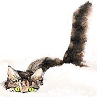 dallas.robson.5 avatar