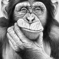 steve.muir.106 avatar