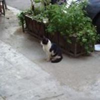 judy-watson-3158 avatar