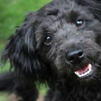 laura.schaeffer.545 avatar