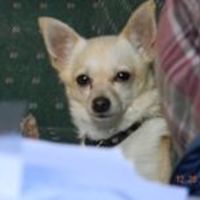 rebecca.wilson.378537 avatar