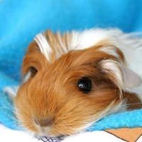 hoyee.cheung.14 avatar