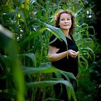 545119d73349e avatar