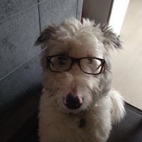 545131cfaf674 avatar