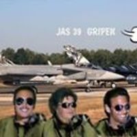 birgit.larssonauna avatar