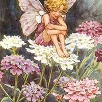 leigh.wiethoff avatar