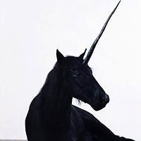 ursula.shepherd.3 avatar