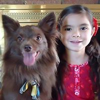 joanna.voll.5 avatar