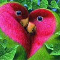 dawn.hoffman.9041 avatar