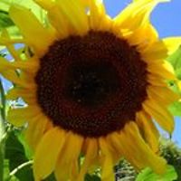 robyn.jones.56679 avatar