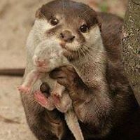 sally.kyle.58 avatar