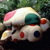 alison.bennett1971 avatar