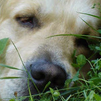 oliviakerzbek avatar