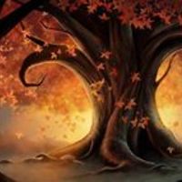 lisa-torrisiruiz avatar