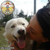 sinziana-spinu-7 avatar