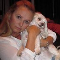 daniel-bezuidenhout1 avatar