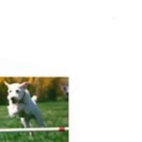 cindie.madore avatar