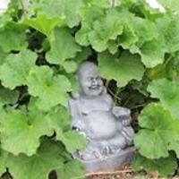 yvonne.messner.9 avatar