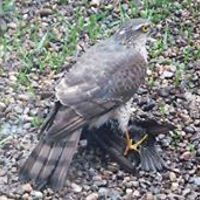 claire.hadley.589 avatar